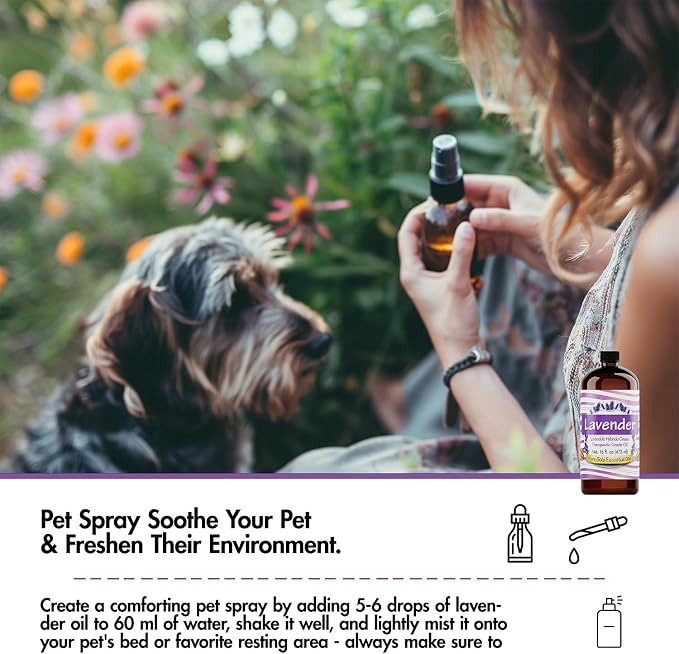 Pure Gold Essential Oils - Bulk 16oz - Perfect as Lavender Oil Spray & for Creating Relaxing Atmosphere - Oil for Cleaning - Large Bottle - Burning Oil