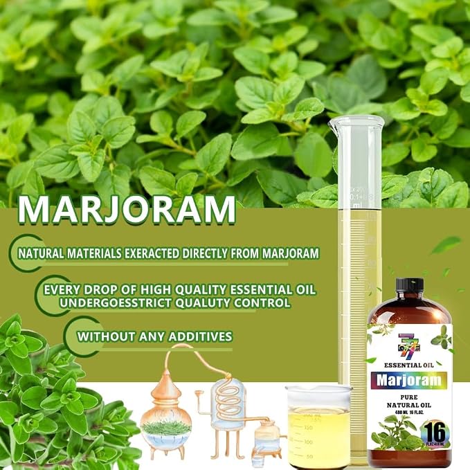 Marjoram Essential Oil, Marjoram Oils, for Diffuser, Massage, Humidifier, DIY Candles, Soap, Home, Yoga, Gift, Essential Oil, GV77ZF Marjoram Fragrance Oil - 16 fl oz (480 ml)