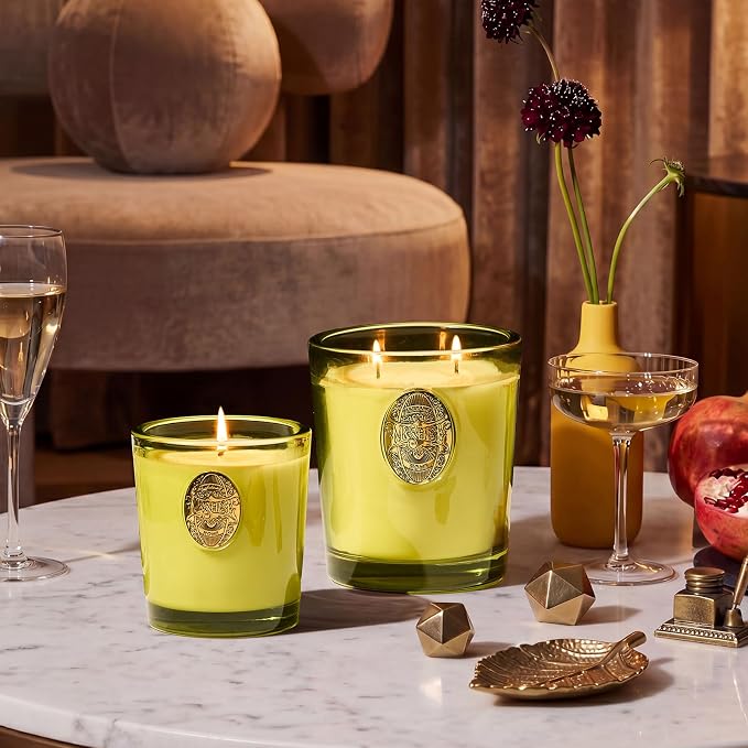M&SENSE Large Two-Wick Soy Candle | Seattle Rainforest & Matcha Green |19.8 oz, 120H Burn Time | Luxury Scented Candle for Relaxation, Gifting, Home Décor | Ideal for Bedroom, Office, Party Ambiance