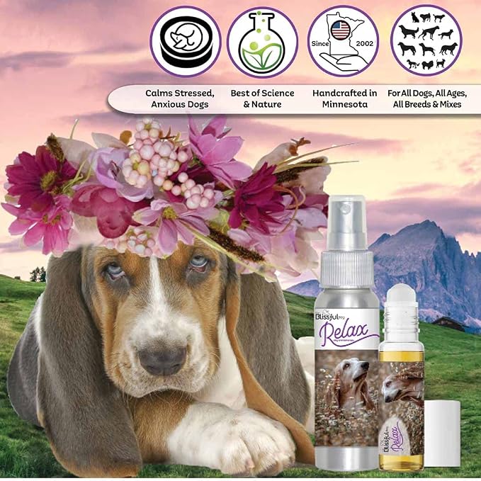 The Blissful Dog Basset Hound Relax Dog Aromatherapy Spray for Your Dog's Anxiety