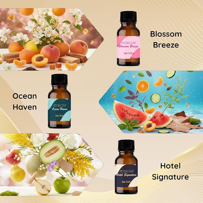 Luxury Aroma Oil for Diffusers – White Tea, Rain Forest, Hotel Signature, Ocean Haven, Harmony, Citrus Delight, Blossom Breeze – Home & Spa Fragrance Oils (Pack of 5)