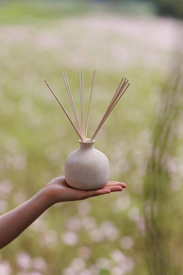 Blueme Renew Wellness Diffuser Oil Refill | Ivy & Rose | 5.92 Fl Oz - Refillable Diffuser, Essential Oils, Ceramic, Rattan Reeds | Small