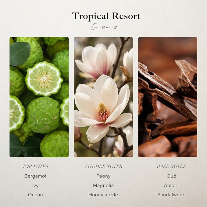 Scentiment Tropical Resort Diffuser Oil - Premium Hotel Scent with Notes of Bergamot, Magnolia & Oud Home Scent, Hotel Fragrance Oil Diffuser Refill - 16.91 fl oz (500 mL)