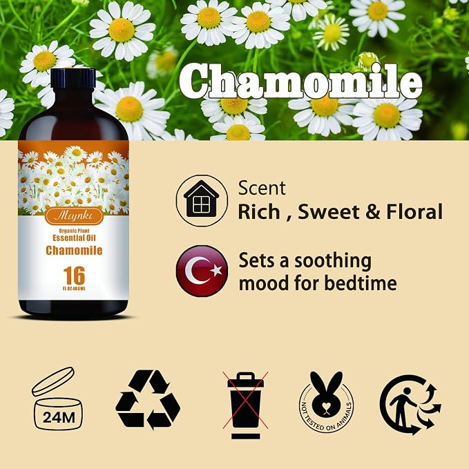 Chamomile Essential Oil, Chamomile Oil for Sleep Aid, Diffuser, Humidifier, Massage, DIY Soap, Candle, Skin Care, Gift Ready,Chamomile Fragrance Oil - MLYNKL Essential Oils (16.33 fl oz / 490ml)