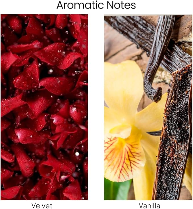Natur IX Embrace Scented Candles for Home | Velvet & Vanilla | Natural Non Toxic Soy Candles with Essential Oils | 50 H Long Burning