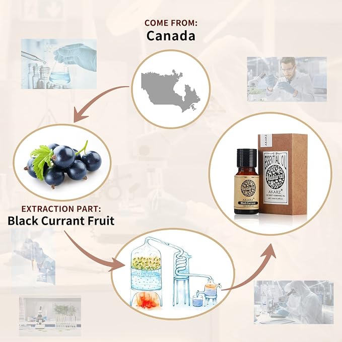 AKARZ Black Currant Essential Oil Natural Organic Pure Black Currant Oil for Skin Body Hair Care,Diffuser, Candle,Soap,Making, DIY,Massage Aroma 0.34 Fl Oz (10ml)