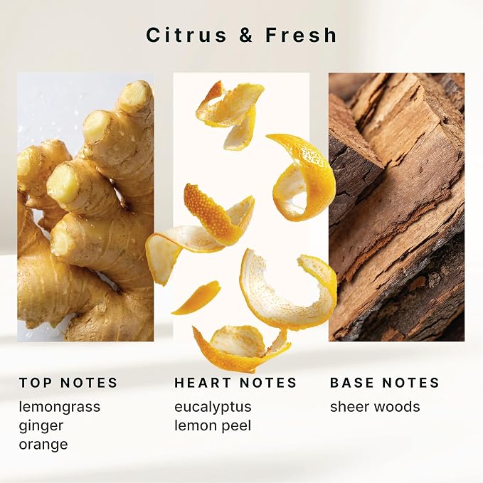 Homedics SereneScent Wellness Oil Refill for Waterless Diffusers, Lemon & Ginger, 15ml Plug & Play Fragrance Oil Bottle, Aromatherapy Scent Refill for Home, Office, Bedroom, Compact Diffusers