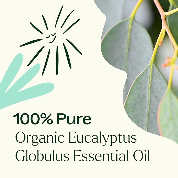 Plant Therapy Organic Eucalyptus Globulus Essential Oils 30 mL (1 oz), 100% Pure, USDA Certified Organic, Undiluted, Natural Aromatherapy for Respiratory Support & Focus