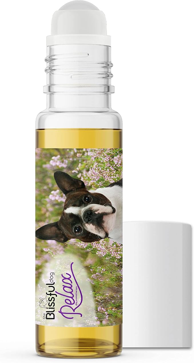 The Blissful Dog Boston Terrier Dog Relax Roll-ON Aromatherapy for Dogs - Anxiety Relief for Dogs