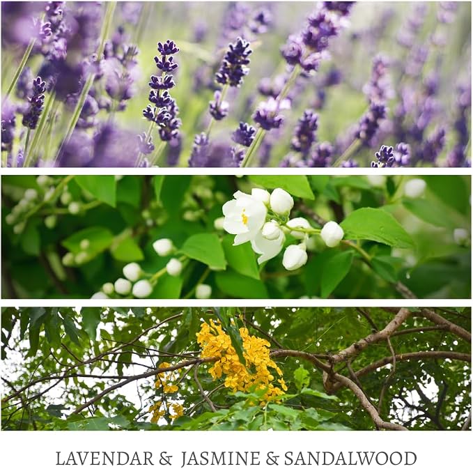 Candle 4 Pack Gift Set for Women&Men, 30 oz 240 Hour Long Lasting,Lavendar Jasmine Sandalwood Soy Candles, Aromatherapy Candles for Home Relaxation | Stress Relief | Meditation | Yoga | SPA