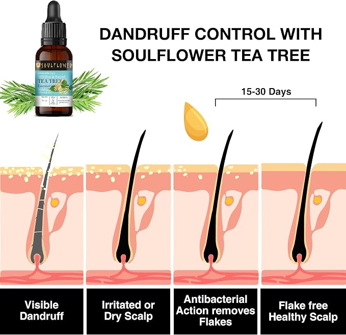 Soulflower Tea Tree Essential Oil 100% Pure, Undiluted, Natural & Organic for Skin, Hair, Pimples, Acne, Dandruff - Premium Essential Oil Certified by Ecocert