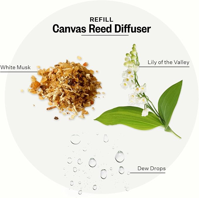 Apotheke Luxury Scented Oil Reed Diffuser Liquid Refill (Canvas) - Premium Home Fragrance Diffuser Refill Set with Sticks