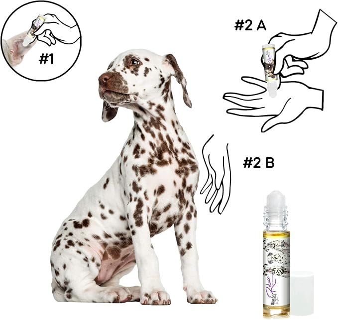 The Blissful Dog Dalmatian Relax Roll-ON Aromatherapy for Dogs - Anxiety Relief for Dogs