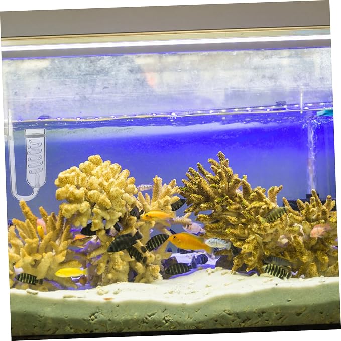 Milisten Transparent Diffuser Device for Aquarium Promotes Aquatic Plant Growth Durable Glass Material Easy to Install Carbon Dioxide Diffusion System for Fish Tank