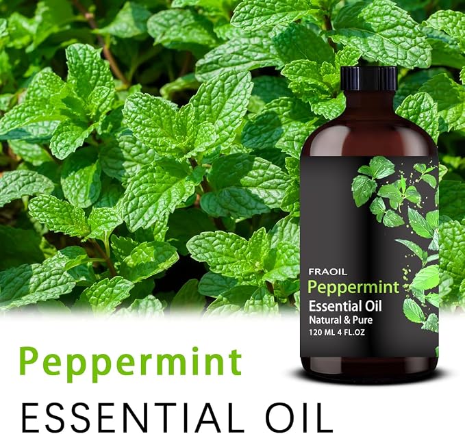 Peppermint Essential Oil, Peppermint Oil 4 Fl Oz 120ML for Diffuser Humidifier Yoga Cleaning DIY Candle Soap Making Perfume Gift Essential Oils FRAOIL (Peppermint 4 Fl Oz (Pack of 1))