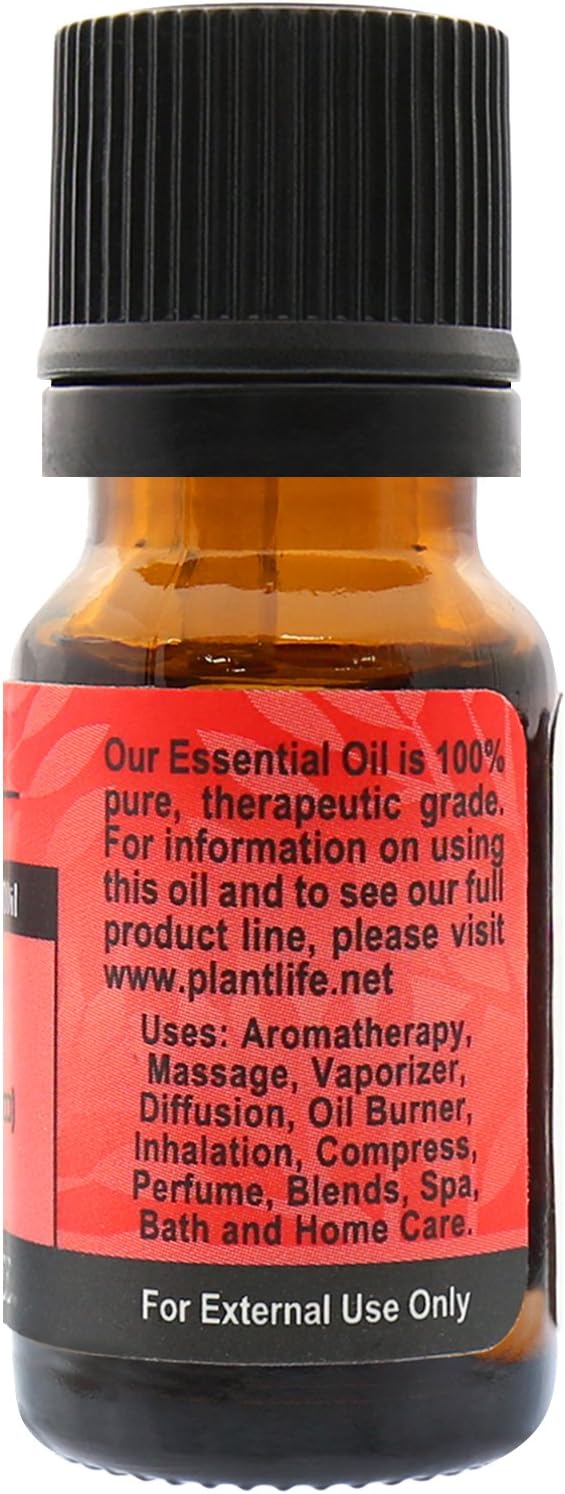 Plantlife Niaouli Aromatherapy Essential Oil - Straight from The Plant 100% Pure Therapeutic Grade - No Additives or Fillers - 10 ml