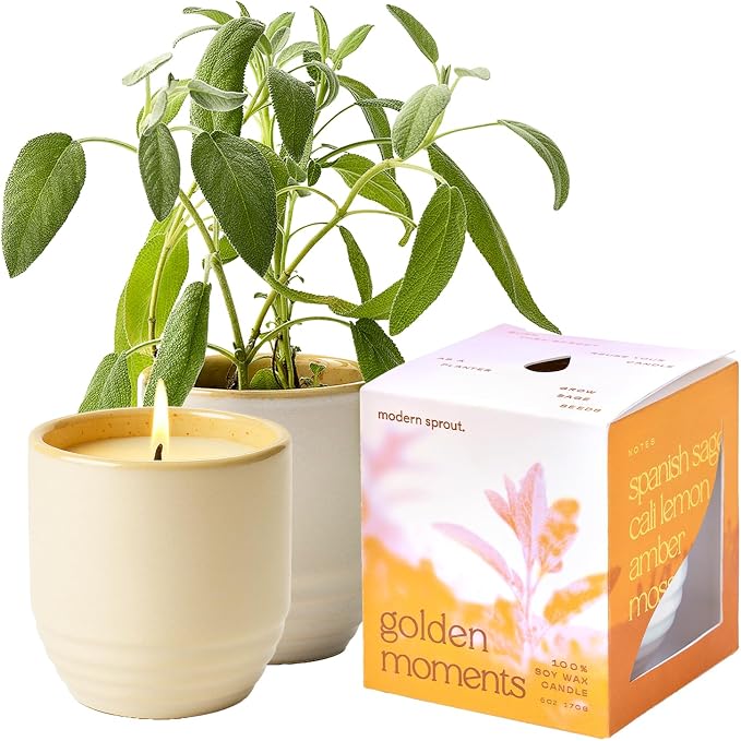 Modern Sprout - 2-in-1 Soy Candle & Planter - Golden Moments (Cali Lemon, Amber, Moss) 6 Oz Scented Candle with Sage Seeds - Dual Purpose Jar - 38-40 Hour Burn – Perfect Plant Lovers Gift