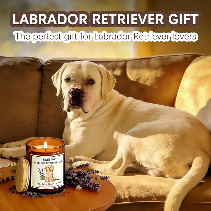 Labrador Retriever pet Owners & Dog Lovers - Dog Dad Gifts for Women, Labrador Retriever Farts Candle,Crafted by Natural Soy Wax Lavender Scented Candle