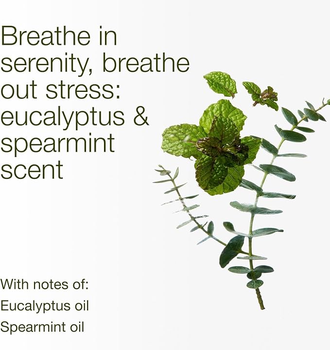 Bath & Body Works Eucalyptus Spearmint 3-Wick Candle - Scented Candle for At-Home Use - Long-Lasting, Room-Filling Fragrance - High Fragrance Oil Concentration - Soy Wax Blend - 2-Pack