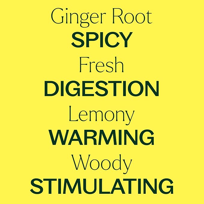Plant Therapy Ginger Root CO2 Essential Oil, 10 mL (1/3 oz), 100% Pure and Undiluted, Natural Aromatherapy, Ginger Oil for Diffuser, Skin & Massage and Hair