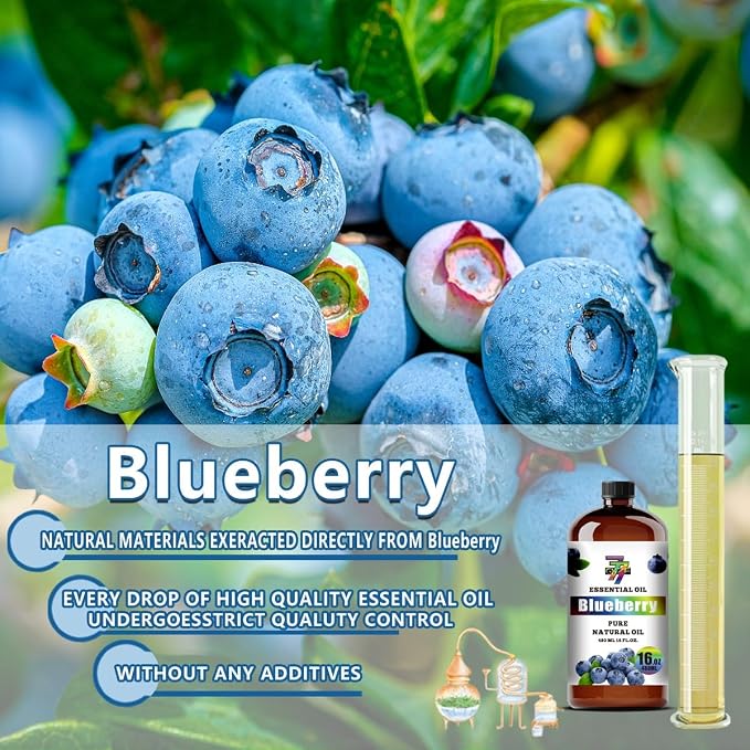 Blueberry Essential Oil – Sweet Blueberry Oil for Diffuser, Humidifier, DIY Candles, Soap, Home, Gift – 16 fl oz (480 ml) – GV77ZF