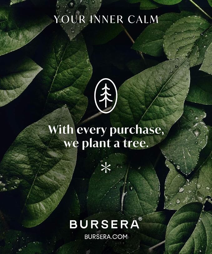 Bursera Essential Oil Diffusing Stone, Portable Non-Electric Essential Oil Diffuser, Tree Planted with Every Order, Natural Waterless Passive Diffuser for Essential Oils