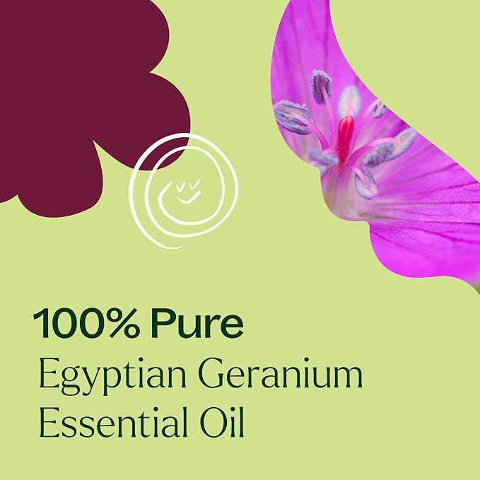 Plant Therapy Egyptian Geranium Essential Oil 10 mL (1/3 oz),100% Pure, Undiluted, Natural Aromatherapy, Stress Relief, Emotional Balance
