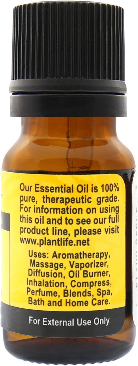 Plantlife Helichrysum Aromatherapy Essential Oil - Straight from The Plant 100% Pure Therapeutic Grade - No Additives or Filters - 10 ml