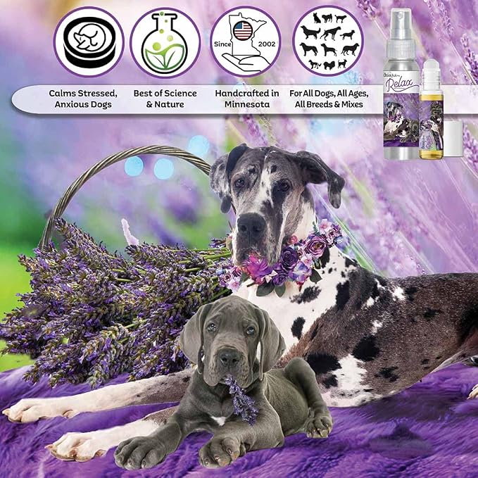The Blissful Dog Great Dane Relax Roll-ON Aromatherapy for Dogs - Anxiety Relief for Dogs