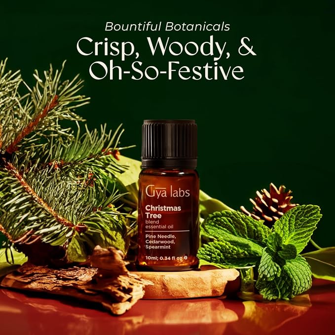 Gya Labs Christmas Tree Essential Oils Blends - 0.34 Fl Oz - for Diffuser, Home, Humidifier, Aromatherapy and DIY Candle Making Scents
