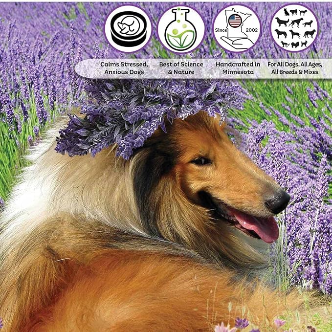 The Blissful Dog Collie Relax Dog Aromatherapy Spray for Your Dog's Anxiety