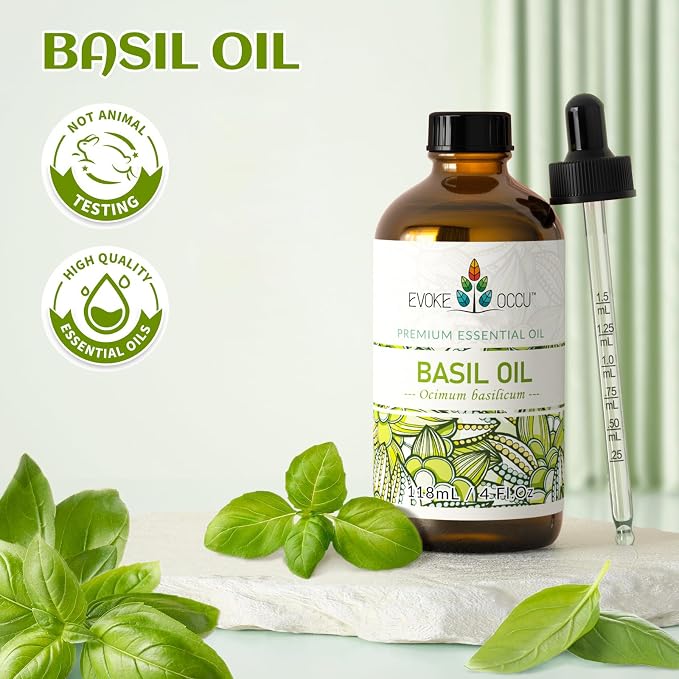 EVOKE OCCU Basil Essential Oil for Skin Massage Diffuser and Candle Making- 4 Fl Oz