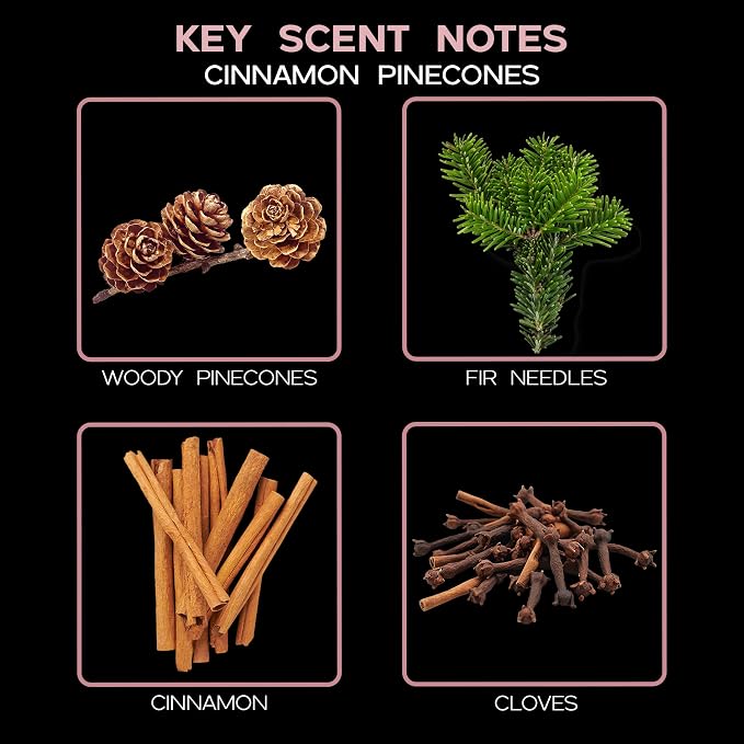 Cinnamon Pine Cones Diffuser Set, Luxury Home Fragrance, Room Scent | Pine cones, woods, and fir needles profile, entryway decor, guest bathroom, living room