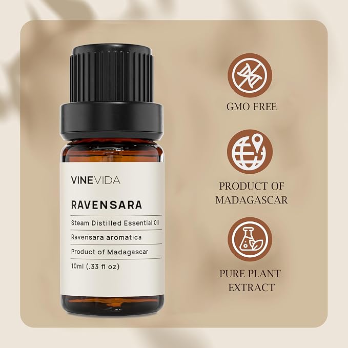 VINEVIDA Ravensara Essential Oil - Undiluted Ravensara Candle Oil Scent - DIY Candle Scents for Candlemaking - Skin-Safe 10 mL Essential Oil for Soap Making