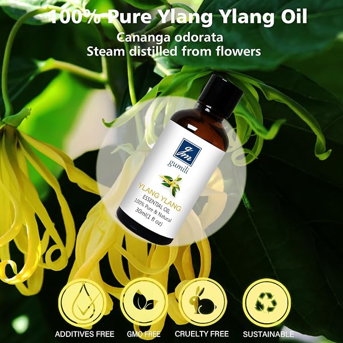 GM Gumili Ylang Ylang Essential Oil 1 Oz – 100% Pure & Natural Ylang Ylang Oil for Skin, Aromatherapy, Massage & Relaxation – 30ml