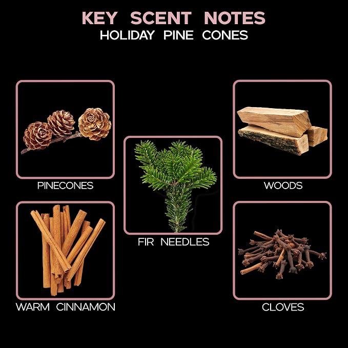 Reed Diffuser Set, Holiday Pine Cones Scented Oil Diffuser with Sticks, Home Fragrance Accessories for Bathroom Shelf Decor, Aroma Diffusers for Home or Office Desk, USA Made