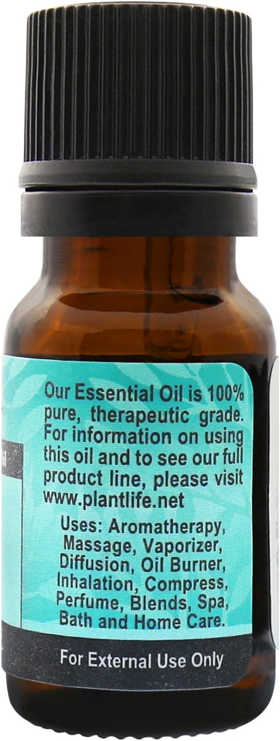 Plantlife Spruce Aromatherapy Essential Oil - Straight from The Plant 100% Pure Therapeutic Grade - No Additives or Filters - 10 ml