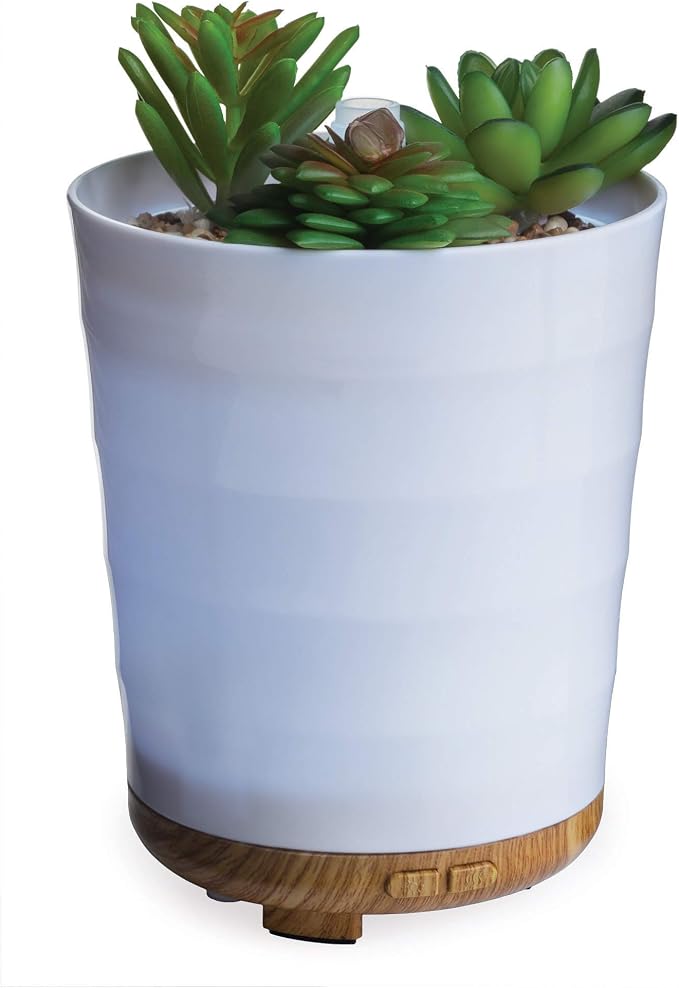 Airome Potted Succulent Medium Essential Oil Diffuser|100 mL Humidifying Ultrasonic Aromatherapy Diffuser 8 Colorful LED Lights, Intermittent & Continual Mist, Auto Shut-Off, White