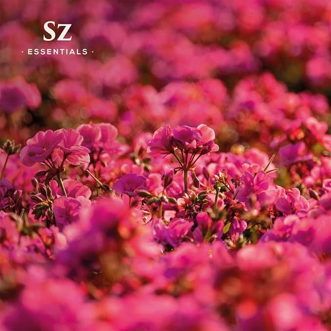 Rose-Geranium Essential Oil - The Real Deal - 100% Pure and Natural - Undiluted - 5ml (0.17 fl oz)