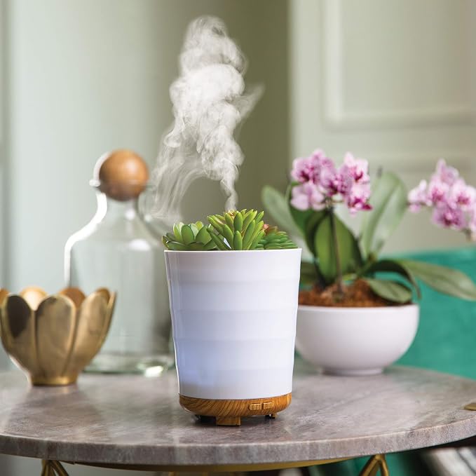 Airome Potted Succulent Medium Essential Oil Diffuser|100 mL Humidifying Ultrasonic Aromatherapy Diffuser 8 Colorful LED Lights, Intermittent & Continual Mist, Auto Shut-Off, White