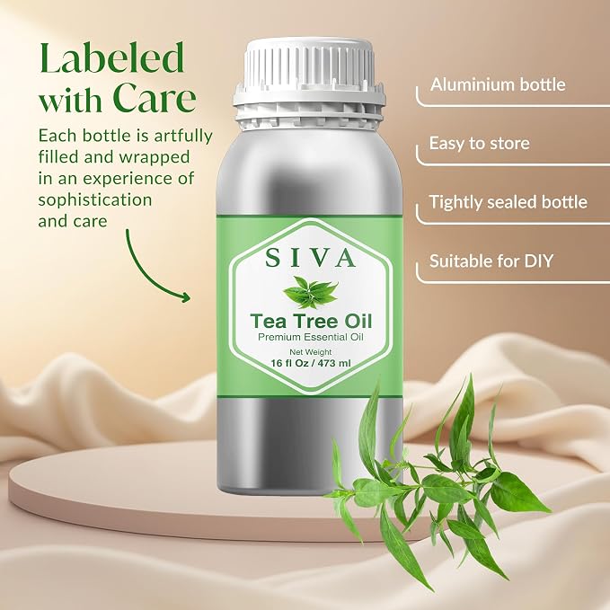 Siva Tea Tree Essential Oil 16 Fl Oz – for Diffuser, Skin & Hair Care – Ideal for Aromatherapy, Massage & DIY Blends