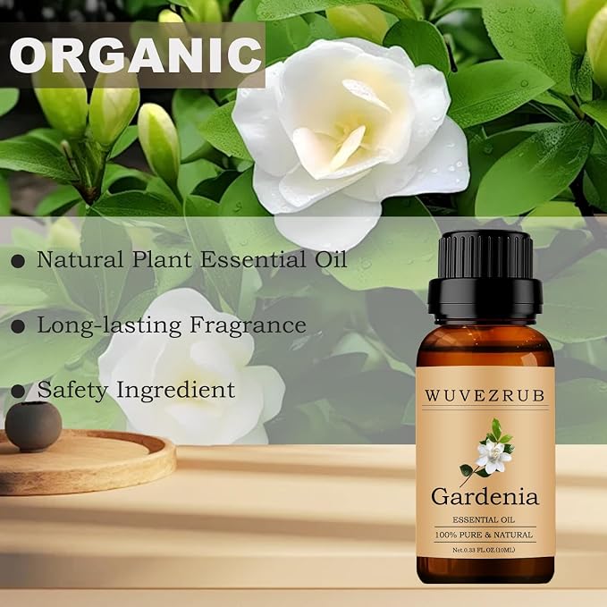 Gardenia Essential Oils 10ML, 100% Pure and Natural Essential Oil for Aromatherapy Diffuser - 0.33 Fl Oz/Gardenia