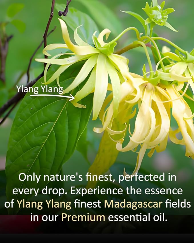 Ylang Ylang Essential Oil 4 fl oz – 100% Pure Natural Floral Aroma for Diffuser, Candle & Soap Making, Hair Care, Massage Blends – Large Size for Daily Use