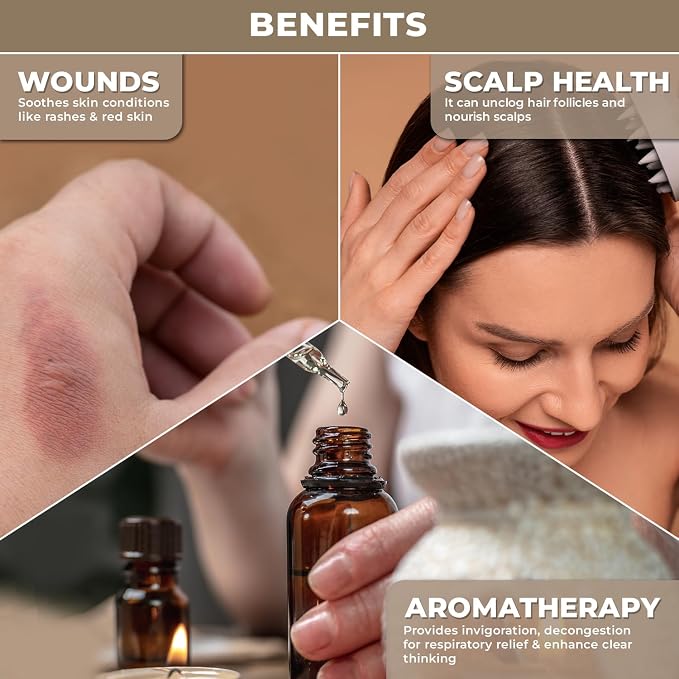 100% Plant Based Organic Camphor Essential Oil - Pure, Natural, Steam Distilled Camphor Oil for Aromatherapy, Skin and Hair Care | Alcanfor | Essential Oil for Humidifier & Diffuser