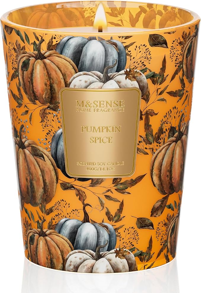 M&SENSE Pumpkin Spice Soy Candle, 14.1oz 60H Non Toxic Slow Burning, Warm Autumn Spice Aromatherapy, Harvest Season Gift