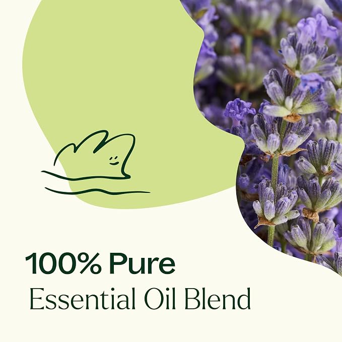Plant Therapy Blissful Dreams Essential Oil Blend, 30 mL (1 oz), 100% Pure, Undiluted, Natural Aromatherapy for Promoting A Good Night's Sleep