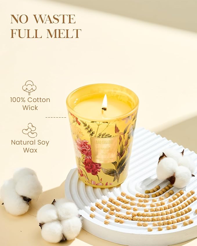 M&SENSE Orange Goji Scented Natural Soy Summer Candle, 14.1oz 60 Hours Long Lasting Slow Burning Candles for Home Decor, Aromatherapy Candle for Stress Relief