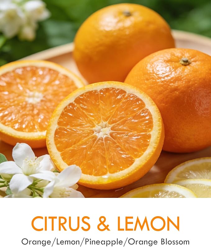 AOOVOO Citrus Lemon 2 Pack Odor Eliminating Candle - Up to 100 Hours Burn time, Eliminates 95% of Pet, Smoke, Food, and Other Smells Quickly, 18 oz Non Toxic Highly Fragranced Air Freshing Soy Candle