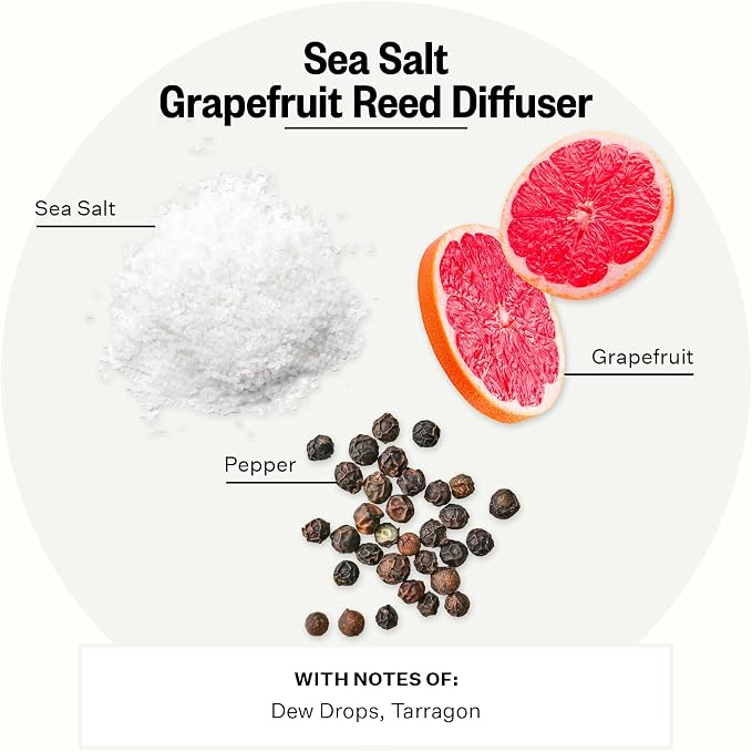 Apotheke Luxury Scented Reed Diffuser for Home, Sea Salt Grapefruit - 6.7 Fl Oz Essential Oil Aromatherapy - 10 Rattan Scent Sticks Room Diffuser - Long-Lasting Fragrance for Bedroom, Home, Bathroom