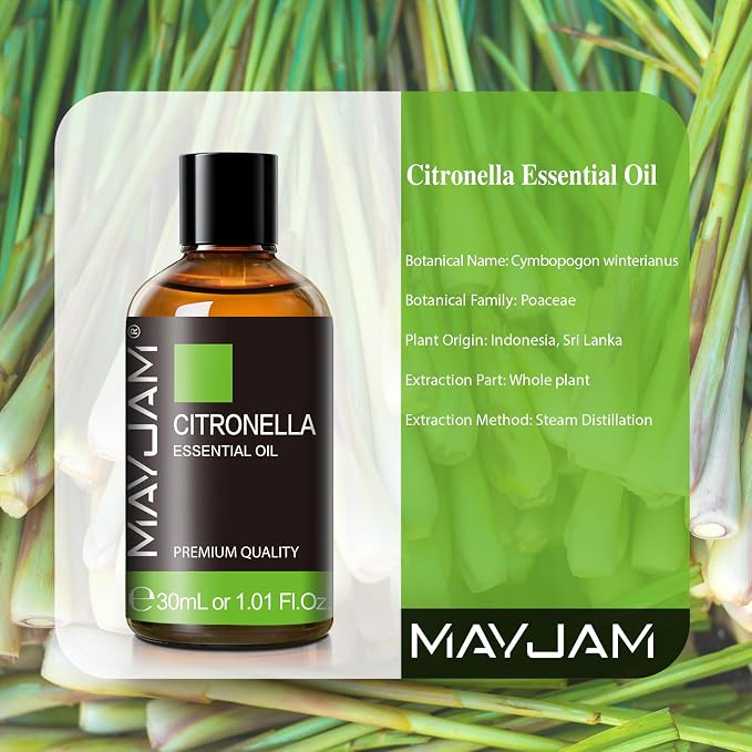 Citronella Essential Oil, MAYJAM 1.01FL.OZ Premium Citronella Oils for Soap Candle Making, Diffuser, Bedroom, Living Room, Office, 30ML/Bottle